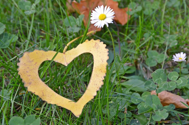 ein gelbes Herbstblatt in Herzform liegt auf einer eisernen Treppe, während die Sonne auf das Blatt scheint - Konzept für die Liebe zum Herbst und die bunten Farben dieser Jahreszeit  - Foto, Bild