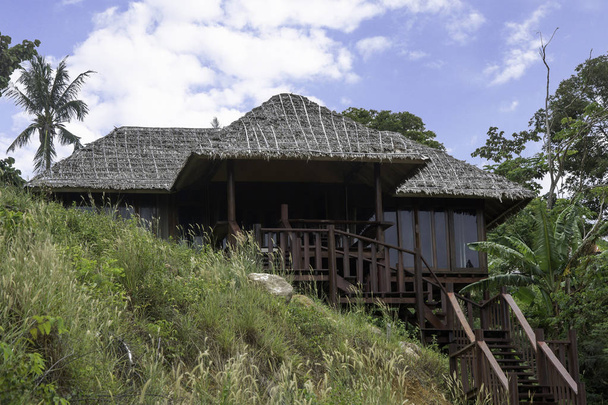 Dřevěný Bungalov se schodištěm a doškovou střechou mezi palmami - Fotografie, Obrázek