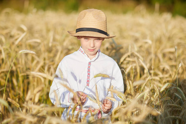 Young caucasian boy on wheat field during daytime - Φωτογραφία, εικόνα
