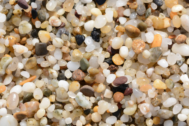 Makro-kép egy tengeri betét álló durva homok - Fotó, kép