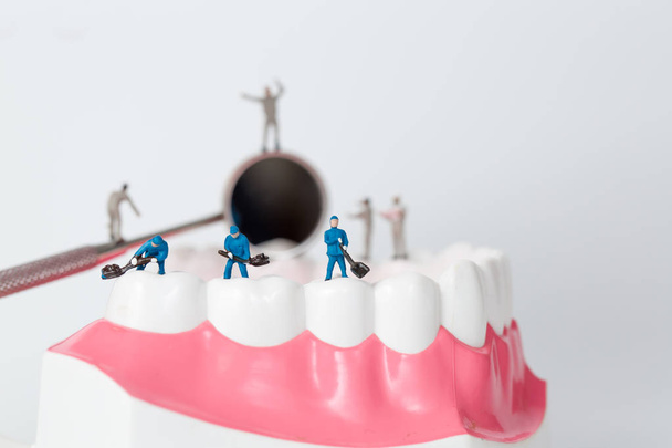 People to clean tooth model - Photo, Image