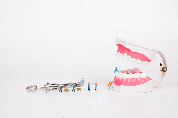 miniatuur mensen reinigen tand model, medisch concept - Foto, afbeelding