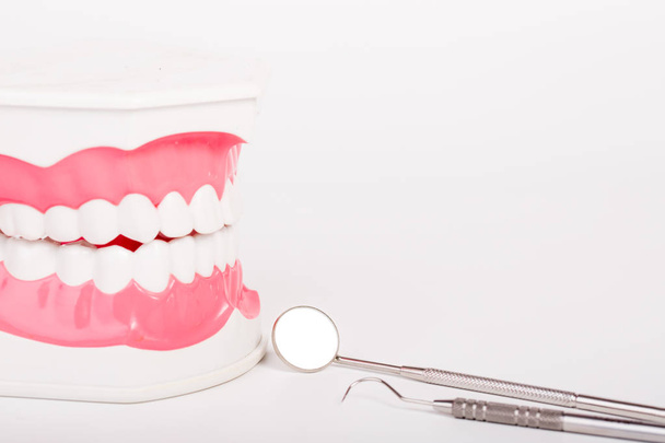 dental tool and dental model on white background - Photo, Image