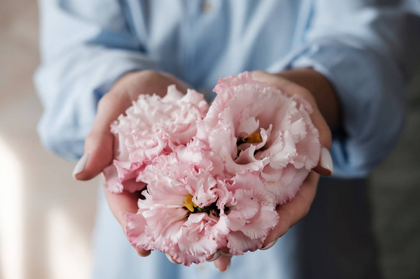 Γυναίκα που κρατάει ροζ λουλούδια. Γυναικεία χέρια με το Εύστομα. λουλούδια τοποθετημένα σε σχήμα καρδιάς. Περιποίηση δέρματος χεριών. Κρέμα για τα χέρια και τη θεραπεία. Κοντινό - Φωτογραφία, εικόνα
