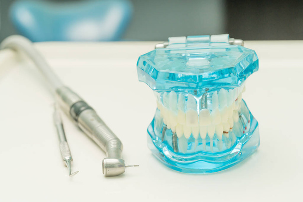 dental model and dental tool in dental clinic - Фото, изображение