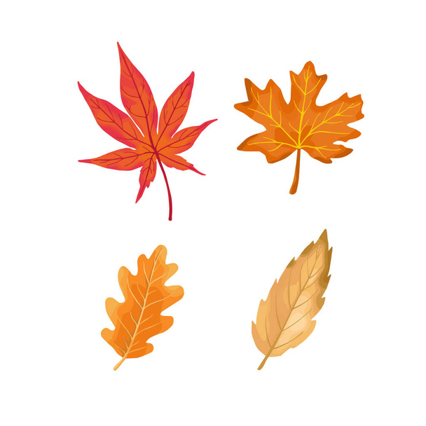 autumn color leaves isolate on white background. vector illustra - Vector, Image