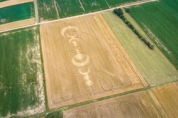 crop circles field Alsace France - Foto, afbeelding