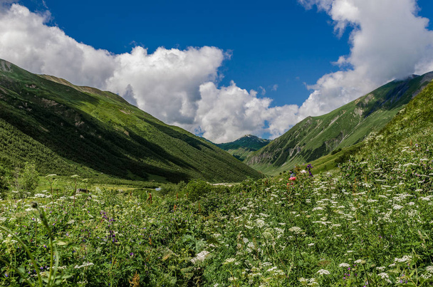 Georgia, Svaneti, Trek Ushgulista Shkharan jäätikölle. Kaunis näkymä laaksoon, monivärinen, Luonto ja matkailu
. - Valokuva, kuva