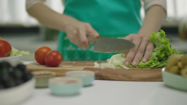 slow motion of woman cutting salad leaves on wooden board  - Footage, Video