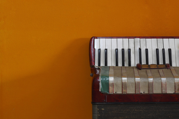 accordion - Photo, Image