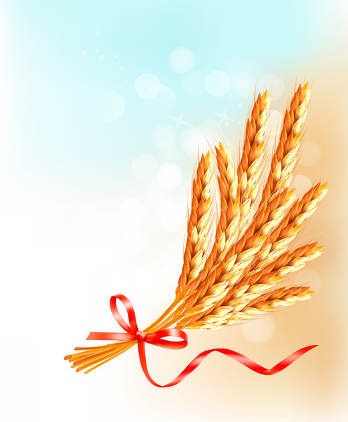 Ears of wheat with red ribbon. Vector illustration. - Vector, Imagen