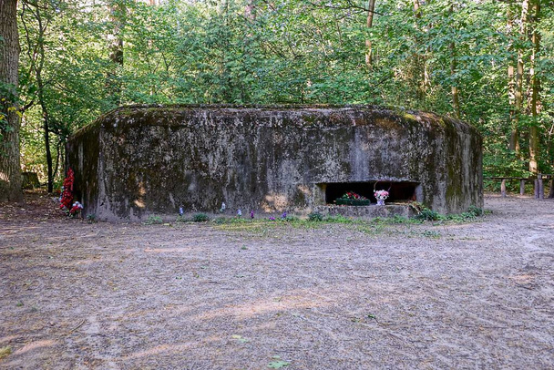 Vanha embrasure konkreettinen sotilaallinen pillbox metsässä
 - Valokuva, kuva