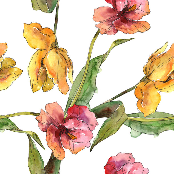 Tulipanes flores botánicas florales. Conjunto de ilustración de fondo acuarela. Patrón de fondo sin costuras
. - Foto, imagen