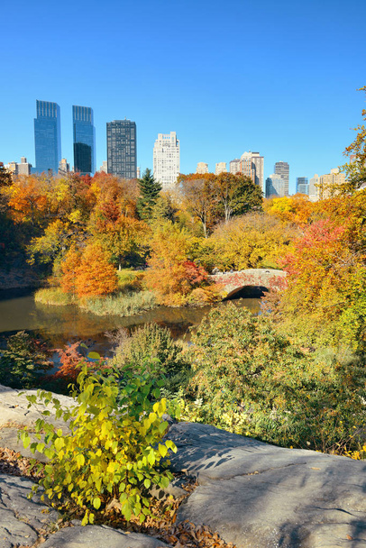 Central Park Autumn - Photo, Image