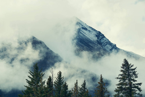 Banff Ulusal Parkı - Fotoğraf, Görsel