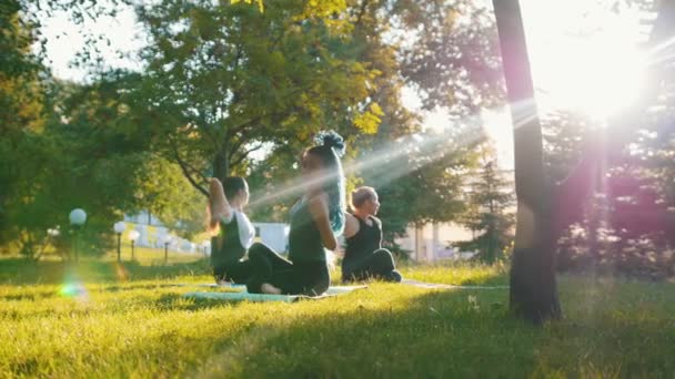 zwei junge Frauen bei Yoga-Übungen mit Trainer im Park in den Sonnenstrahlen - eine Frau hat lange blaue Dreadlocks - Filmmaterial, Video