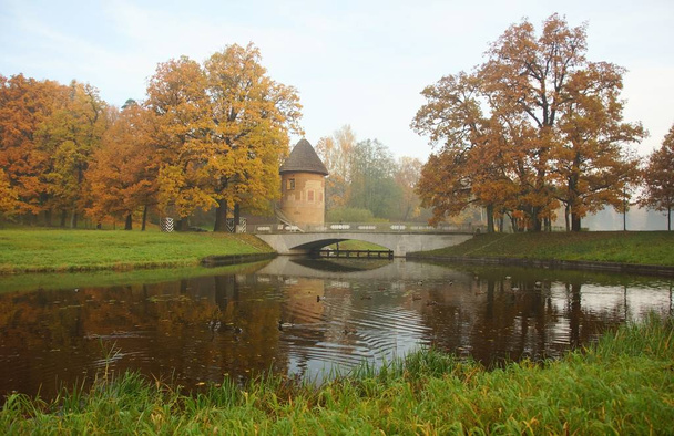 Autumn calm morning on the Slavyanka River in Pavlovsk Park - Fotografie, Obrázek