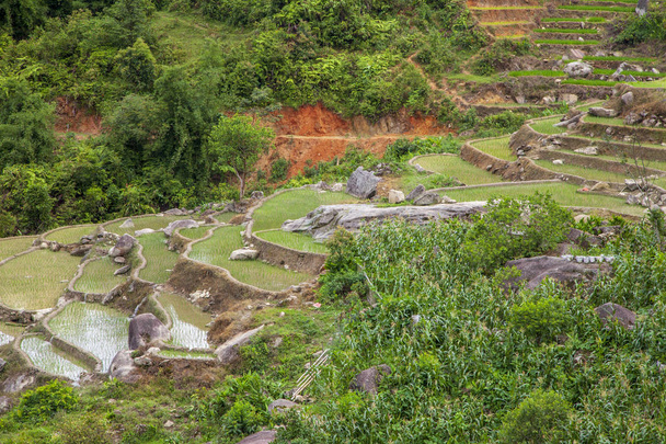 Rizières dans les montagnes près du village de Sapa, dans le nord du Vietnam
 - Photo, image