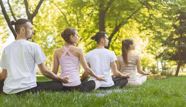 Čtyři přátelé užívající ranní meditace v parku - Fotografie, Obrázek