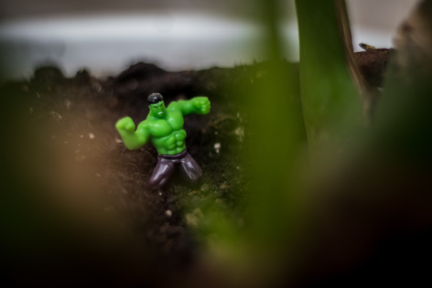 Hulk és a Wilds fatörzsek hatalmas növények - Fotó, kép