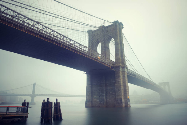 ブルックリン橋  - 写真・画像