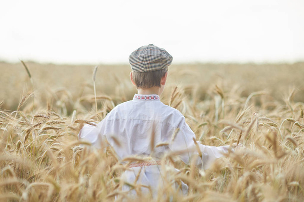 Young caucasian boy on wheat field during daytime - Zdjęcie, obraz