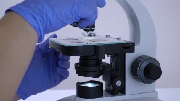 Laboratory technician makes fine-tuning of the microscope - Footage, Video