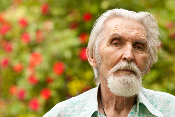 Retrato de homem idoso
 - Foto, Imagem