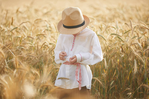 Young caucasian boy on wheat field during daytime - Foto, afbeelding