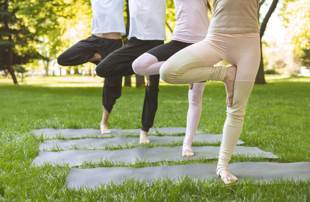 Closeup of yoga enthusiasts staying in Tree pose on mats - Photo, Image