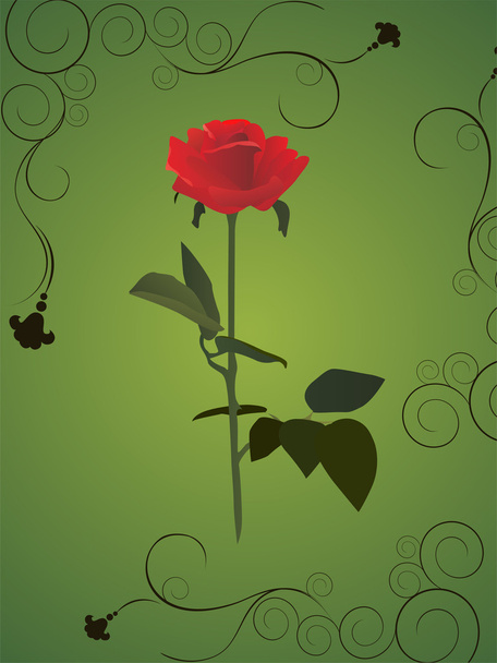Розовая роза
 - Вектор,изображение