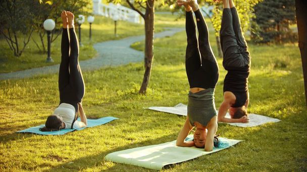 İki genç atletik kadın ve parlak yeşil ağaçlar ve geçit yakınındaki parkta yoga yapan bir adam - headstands doing - Fotoğraf, Görsel