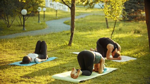 Dos mujeres atléticas jóvenes y un hombre haciendo yoga en el parque cerca de los árboles verdes brillantes y la pasarela
 - Foto, Imagen