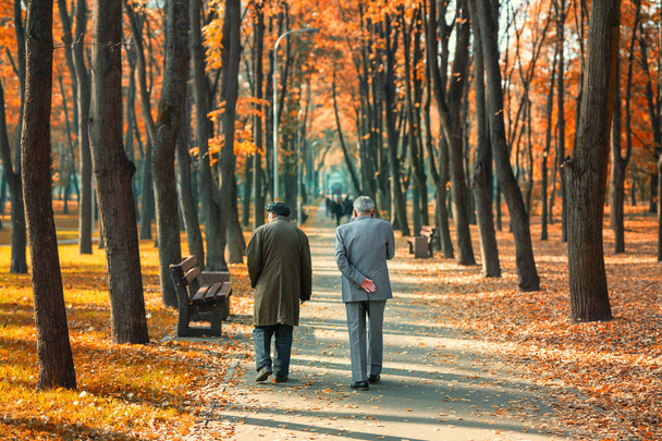 Two senior friends man walking along beautiful colorful autumn city park. Pair of old age persons talking during walk at beautiful multicolored fall tree valley. Retirement and pension concept - Photo, Image