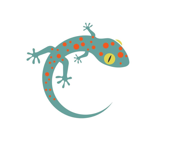 Gecko logo wektor ikona ilustracja  - Wektor, obraz