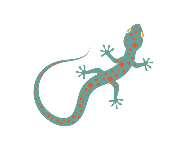 Ikona vektora loga Gecko – ilustrace  - Vektor, obrázek