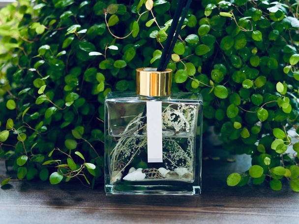 Leaf and diffuser, glass bottle, Leaf and fragrance - Photo, Image