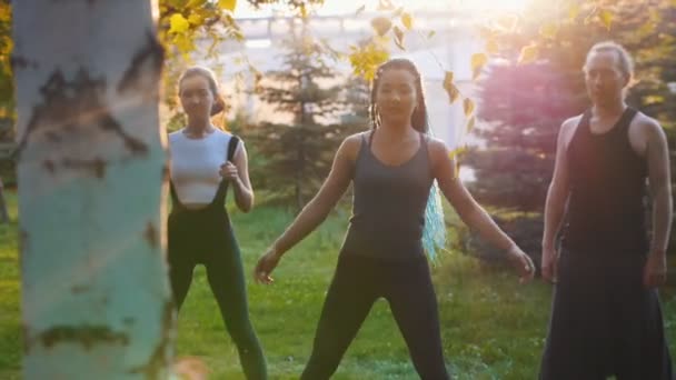 Dwie młode kobiety robią ćwiczenia jogi z trenerem w parku w słońcu-jedna kobieta ma długie niebieskie dredy - Materiał filmowy, wideo