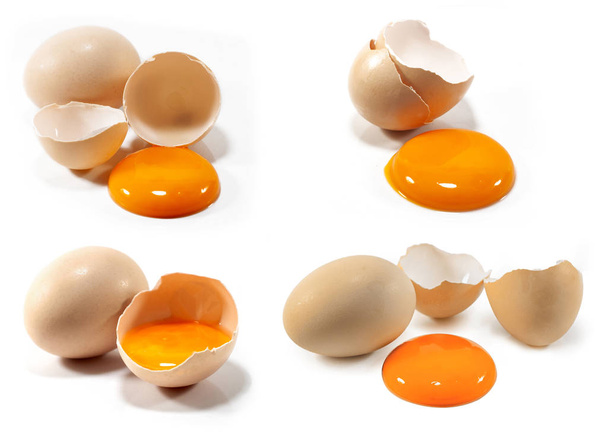 œufs isolés découpés sur fond blanc
 - Photo, image