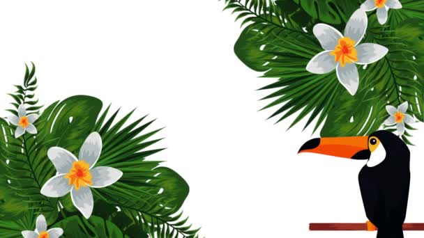 εξωτικό Toucan και λουλούδια κινούμενα σχέδια - Πλάνα, βίντεο
