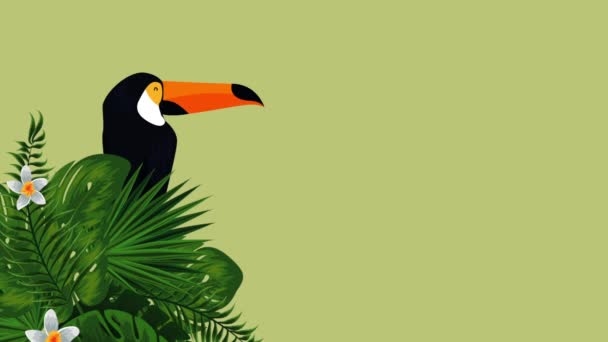 egzotyczna animacja Toucan i kwiatów - Materiał filmowy, wideo