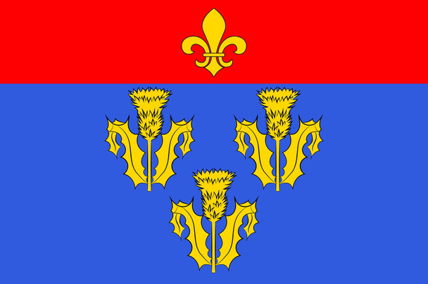 Loiret of Centre-Val de Loire, Fransa içinde Pithiviers bayrağı - Vektör, Görsel
