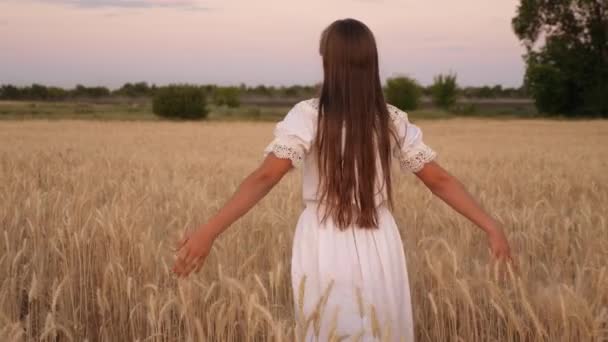 mutlu kız sarı buğday bir alan üzerinde yürüyor ve kendi elleriyle buğday kulakları dokunur. Yavaş hareket. Kız sahada seyahat ediyor. Eko-turizm konsepti. - Video, Çekim