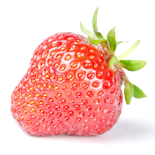 Strawberry isolated before white - Foto, Imagem