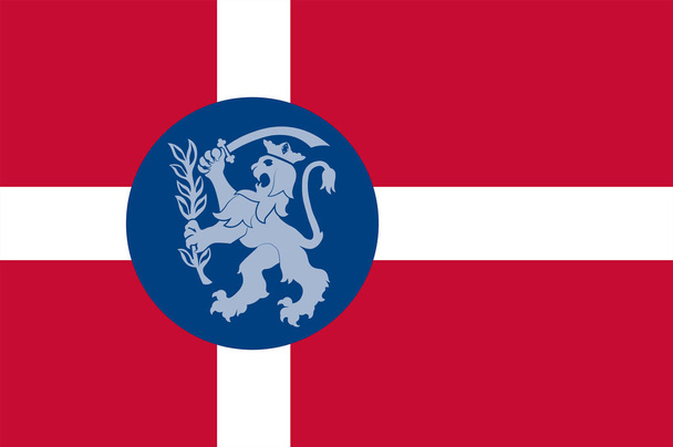 A Dél-dániai régió Fredericia zászlaja - Vektor, kép