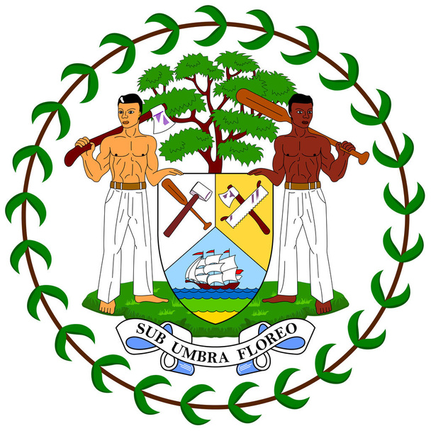 Coat of arms of Belize  - Vector, Image