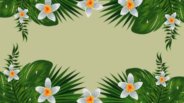 exotické listové a květiny tropická zahrada - Záběry, video
