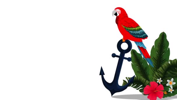 eksoottinen guacamaya lintu trooppinen animaatio
 - Materiaali, video