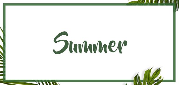 Summer palm leaves banner white background template with border - Wektor, obraz