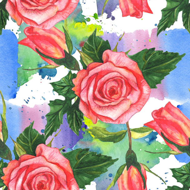 Pink rose floral botanical flower. Watercolor background illustration set. Seamless background pattern. - 写真・画像
